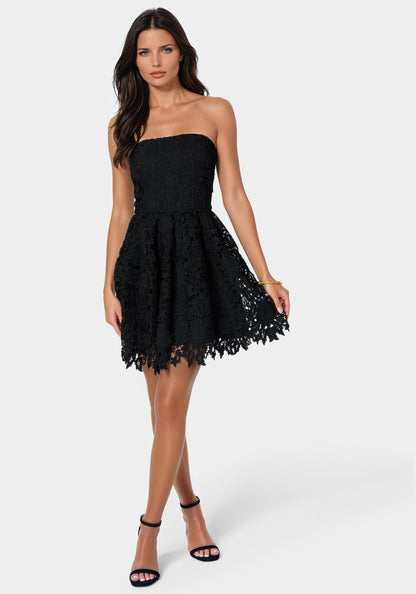 Strapless Lace Cupcake Dress