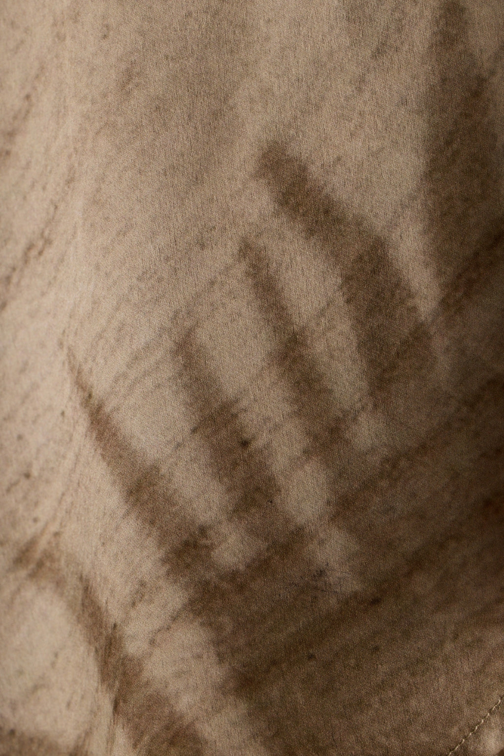 Eden Palm Print Pant