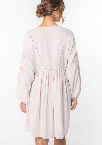 Malin Embroidered Mini Dress