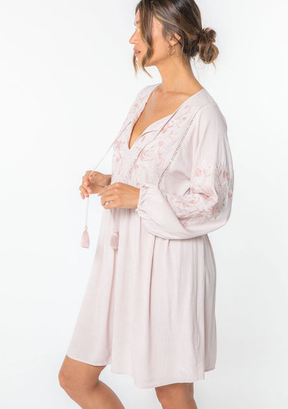 Malin Embroidered Mini Dress