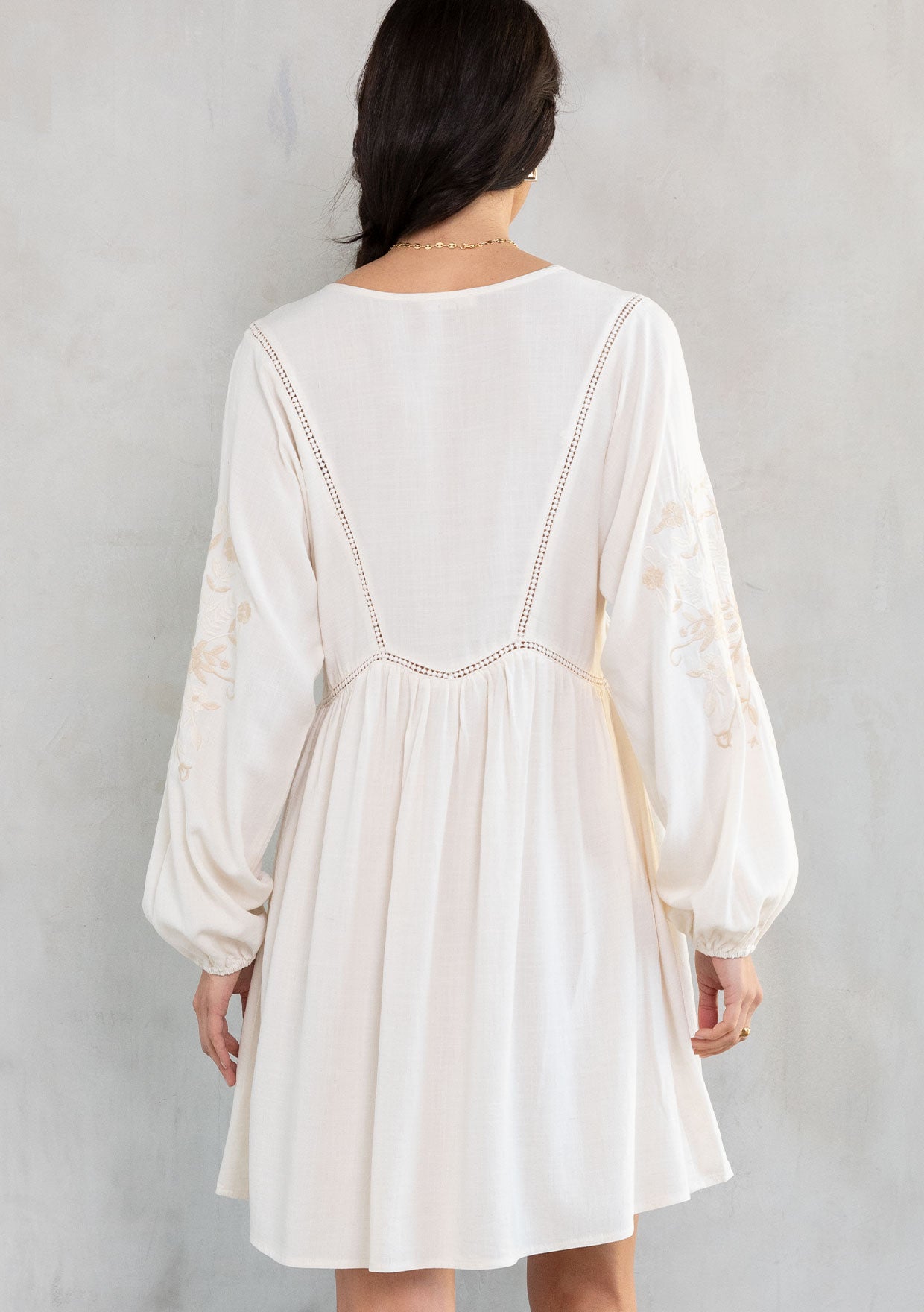 Malin Embroidered Mini Dress