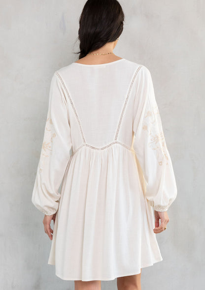 Malin Embroidered Mini Dress