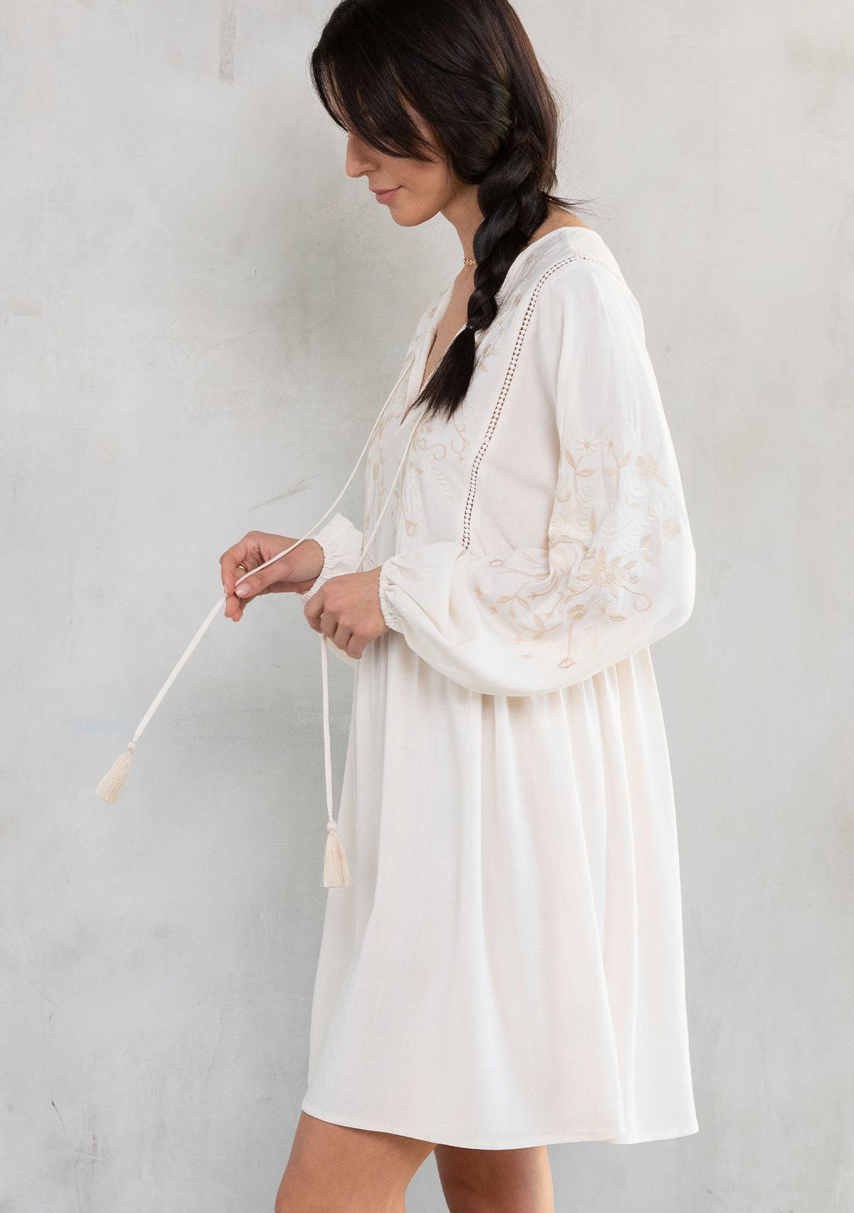 Malin Embroidered Mini Dress